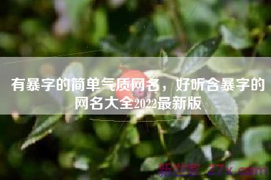 有暴字的简单气质网名，好听含暴字的网名大全2022最新版