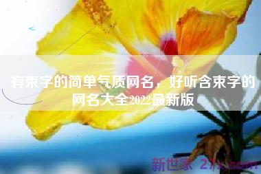 有束字的简单气质网名，好听含束字的网名大全2022最新版