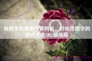 有隐字的简单气质网名，好听含隐字的网名大全2022最新版
