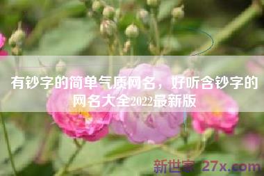 有钞字的简单气质网名，好听含钞字的网名大全2022最新版