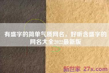 有盛字的简单气质网名，好听含盛字的网名大全2022最新版