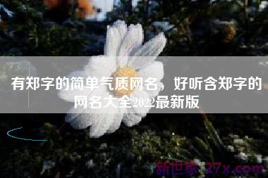 有郑字的简单气质网名，好听含郑字的网名大全2022最新版