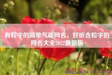 有粒字的简单气质网名，好听含粒字的网名大全2022最新版