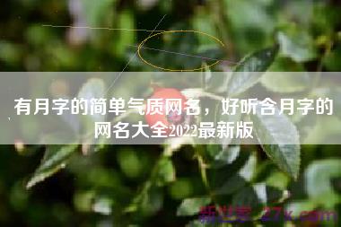 有月字的简单气质网名，好听含月字的网名大全2022最新版