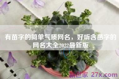 有苗字的简单气质网名，好听含苗字的网名大全2022最新版