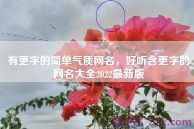 有更字的简单气质网名，好听含更字的网名大全2022最新版