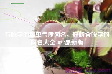 有吮字的简单气质网名，好听含吮字的网名大全2022最新版