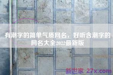有潮字的简单气质网名，好听含潮字的网名大全2022最新版