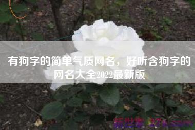 有狗字的简单气质网名，好听含狗字的网名大全2022最新版