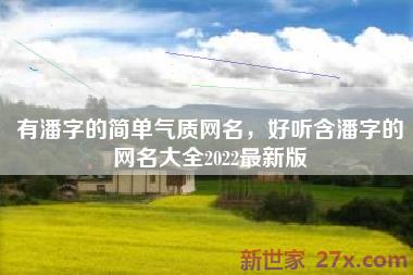 有潘字的简单气质网名，好听含潘字的网名大全2022最新版