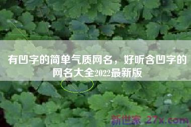 有凹字的简单气质网名，好听含凹字的网名大全2022最新版