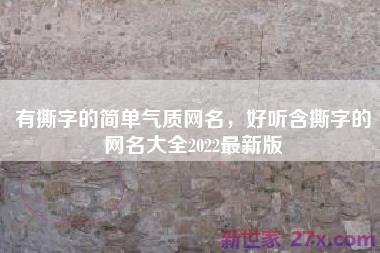 有撕字的简单气质网名，好听含撕字的网名大全2022最新版