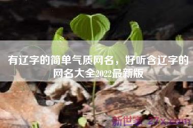 有辽字的简单气质网名，好听含辽字的网名大全2022最新版