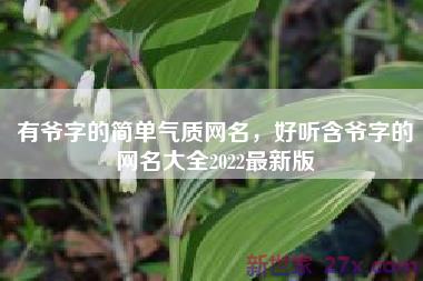 有爷字的简单气质网名，好听含爷字的网名大全2022最新版