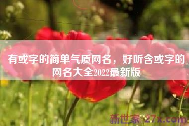 有或字的简单气质网名，好听含或字的网名大全2022最新版