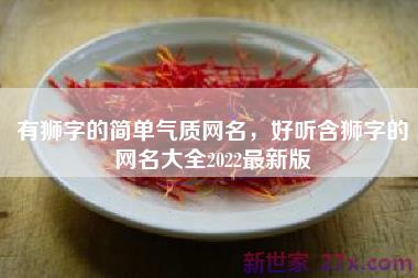 有狮字的简单气质网名，好听含狮字的网名大全2022最新版