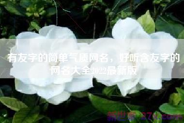 有友字的简单气质网名，好听含友字的网名大全2022最新版