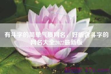 有斗字的简单气质网名，好听含斗字的网名大全2022最新版