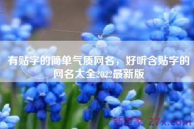 有贴字的简单气质网名，好听含贴字的网名大全2022最新版