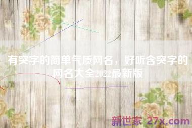 有突字的简单气质网名，好听含突字的网名大全2022最新版