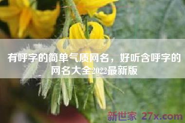 有呼字的简单气质网名，好听含呼字的网名大全2022最新版