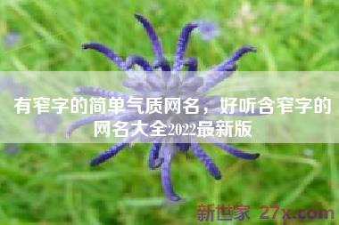 有窄字的简单气质网名，好听含窄字的网名大全2022最新版