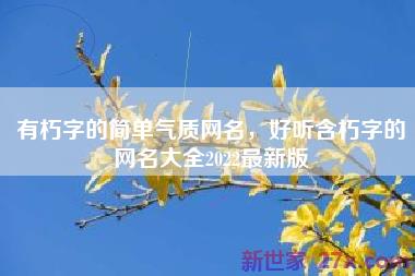 有朽字的简单气质网名，好听含朽字的网名大全2022最新版