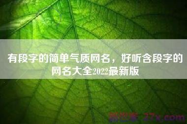 有段字的简单气质网名，好听含段字的网名大全2022最新版