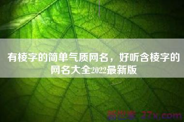 有棱字的简单气质网名，好听含棱字的网名大全2022最新版