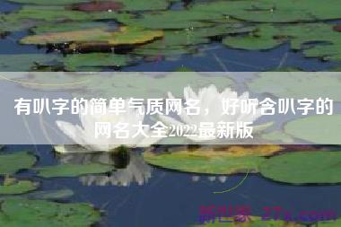 有叭字的简单气质网名，好听含叭字的网名大全2022最新版