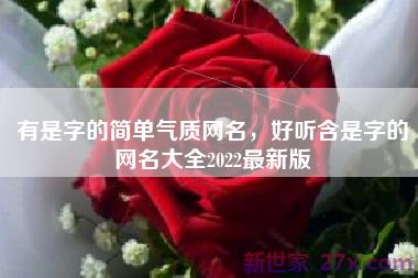 有是字的简单气质网名，好听含是字的网名大全2022最新版