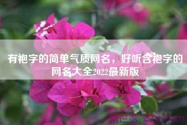 有袍字的简单气质网名，好听含袍字的网名大全2022最新版