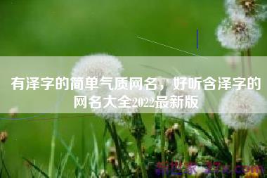 有泽字的简单气质网名，好听含泽字的网名大全2022最新版