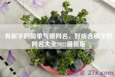 有椒字的简单气质网名，好听含椒字的网名大全2022最新版