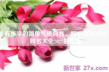 有栋字的简单气质网名，好听含栋字的网名大全2022最新版