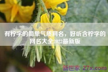 有柠字的简单气质网名，好听含柠字的网名大全2022最新版