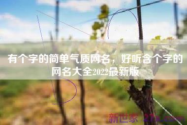 有个字的简单气质网名，好听含个字的网名大全2022最新版