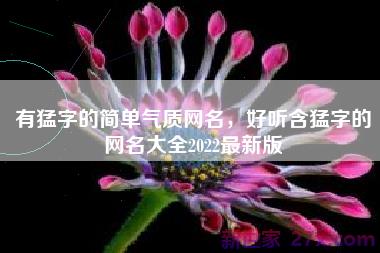 有猛字的简单气质网名，好听含猛字的网名大全2022最新版
