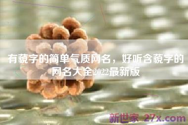 有藐字的简单气质网名，好听含藐字的网名大全2022最新版