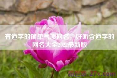 有道字的简单气质网名，好听含道字的网名大全2022最新版