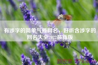 有涉字的简单气质网名，好听含涉字的网名大全2022最新版