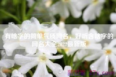 有啥字的简单气质网名，好听含啥字的网名大全2022最新版