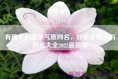 有礁字的简单气质网名，好听含礁字的网名大全2022最新版