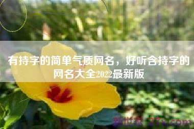 有持字的简单气质网名，好听含持字的网名大全2022最新版