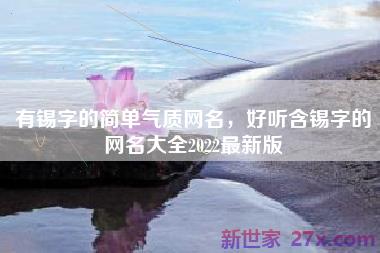 有锡字的简单气质网名，好听含锡字的网名大全2022最新版