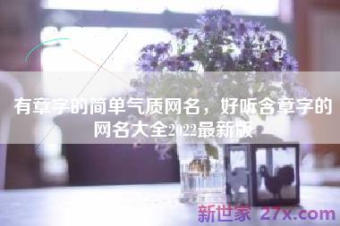 有章字的简单气质网名，好听含章字的网名大全2022最新版