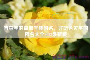 有灾字的简单气质网名，好听含灾字的网名大全2022最新版