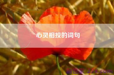 心灵相投的词句
