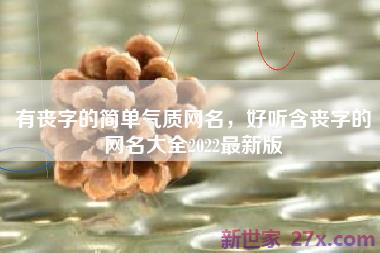 有丧字的简单气质网名，好听含丧字的网名大全2022最新版