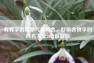 有脊字的简单气质网名，好听含脊字的网名大全2022最新版